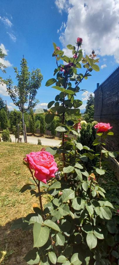 For A Large Family Villa Sarajevo