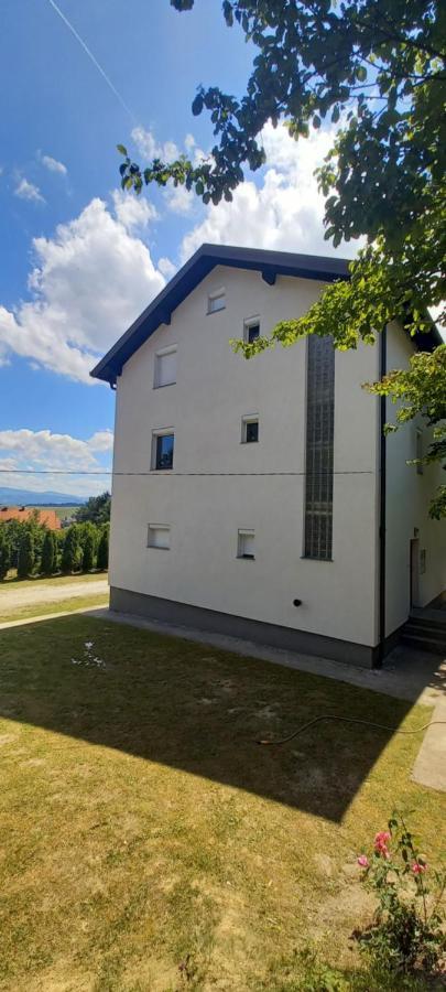 For A Large Family Villa Sarajevo